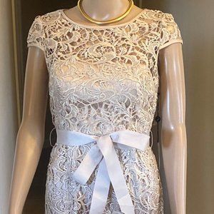 Adrianna Papell long lace dress